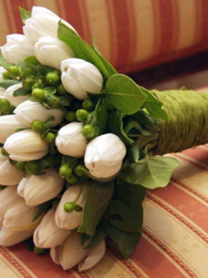 BOUQUET CON 30 TULIPANES BLANCOS - Floreria de Liz, Flores en Cuernavaca  Morelos, Flor en Cuernavaca Morelos, Florerias en Cuernavaca Morelos,  Arreglos florales en Cuernavaca Morelos, Flores a domicilio Cuernavaca  Morelos, Arreglos